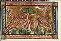 cinomia