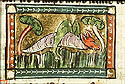 locusta