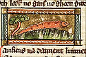 lanificus