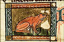 rana