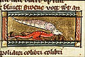 spoliator