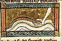 sanguissuga