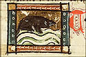 tappula