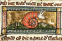 testudo