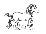 paard