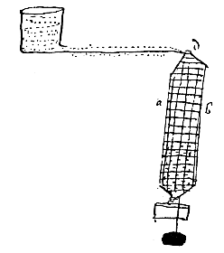 uurbak