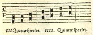 III Quartae species, IIII Quintae soecies