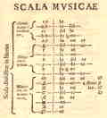 Scala musicae