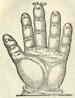 muzikale hand