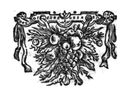 ornament - 2