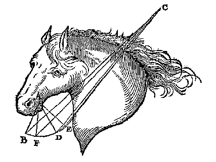 teugel
