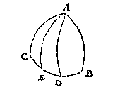 boldriehoek