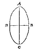 ellips