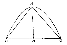 conoide