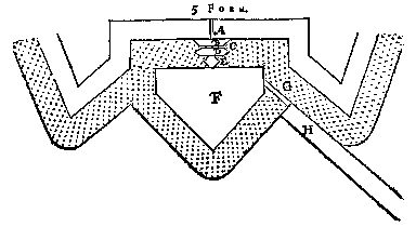 5 Form
