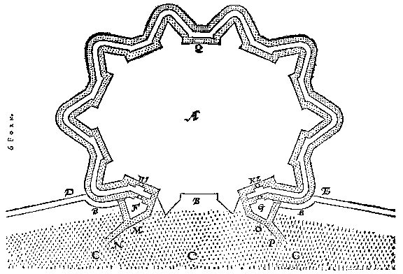 6 Form