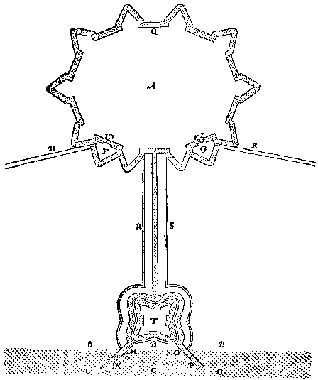 7 Form