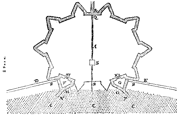 8 Form