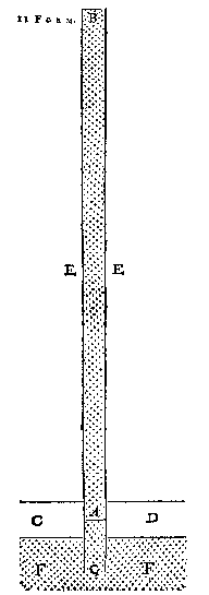 11 Form