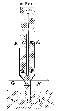 12 Form