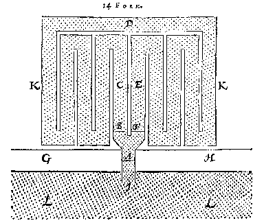 14 Form