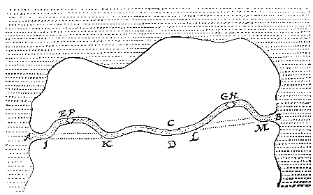 15 Form