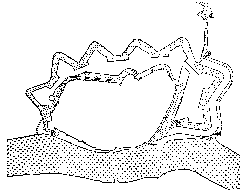 5 Form