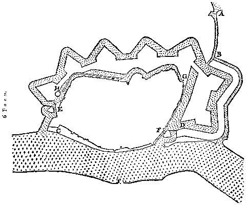 6 Form