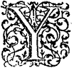 Y