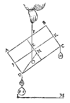 scheve stand