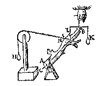 idem, boomstam tussen F en G