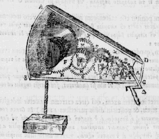 glossocomum