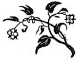 bloemetje