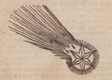 komeet van 1531