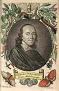 Goedaert, portret