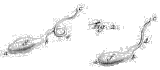 glasdruppels