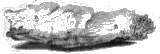 kina-schors