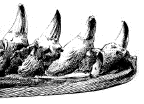 kaakfragment