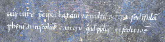 virtute ... batavi